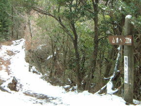 山頂へ220m