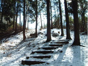 雪の残る遊歩道
