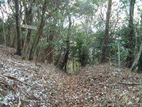 鎮南山縦走路分岐