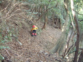 雑木林の登山道