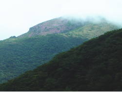 星生山北斜面(クリックして拡大)