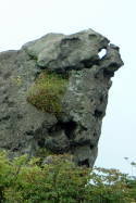 カバ岩