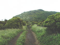 黒岩山登山道(クリックして拡大)