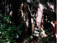 あと300m