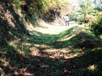 高崎山登山道