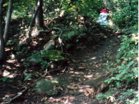 山頂近くの登り道