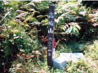 高崎山山頂