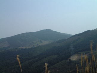 唐木山