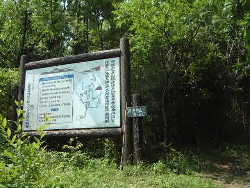 津波戸山登山口案内(クリックして大きく)