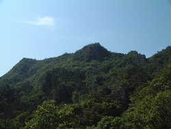 津波戸山頂部(クリックしてパノラマ)