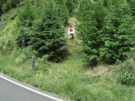 烏帽子岳登山口